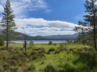9. Tag – Wanderung um den Loch Morlich in den Cairngorms