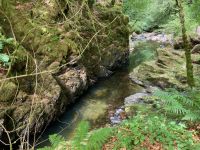 9. Tag – Wanderung zu den Birks of Aberfeldy