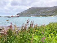 Tag 6 - Kjøllefjord