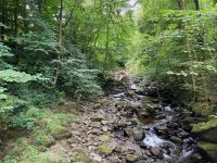 9. Tag – Wanderung zu den Birks of Aberfeldy