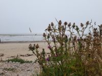 Strand von Golspie