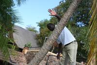 Ernst kommt nicht mit