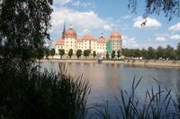 Blick auf die Moritzburg