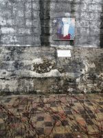 Kunst und Stacheldraht