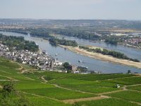 Rundfahrt: Niederwalddenkmal: Aussicht auf den Rhein