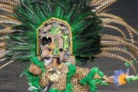 Jaguar oder Ozelot?
