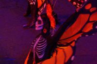 La muerte oder die Wanderung des Monarchfalters? 