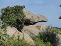 Tag 8 13.08.2022 Wanderung entlang des Zöllnerpfades  