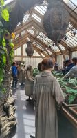 115 – England, Harry Potter Studio Tour
