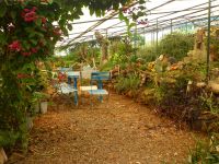Esmeraldas Gartenparadies mit Gewächshaus…