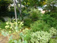 … sowie Heil- und Kräuterpflanzen