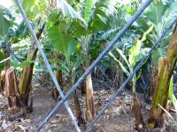 … und muss abgestützt werden