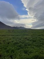 Fahrt zur Halbinsel Snaefellsnes