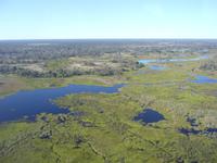 WOW - zum Abheben schön!
