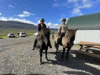 Vorführung auf dem Pferdehof