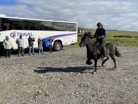 Vorführung auf dem Pferdehof