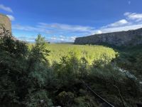 Rundgang durch die Asbyrgi Schlucht