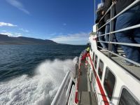 Whale-Watching Tour