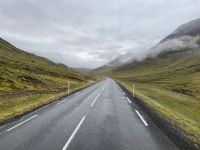 Fahrt durch die Ostfjorde 