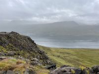 Fahrt durch die Ostfjorde 