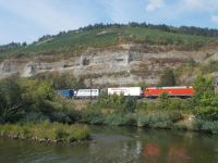 DSCN6460.JPG     Wein und Zug am Main