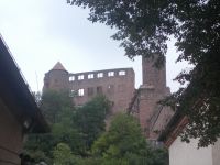 DSCN6483.JPG     Wertheim Burg