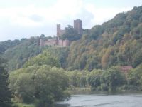 DSCN6499.JPG    Burgen am Main