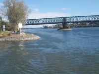 DSCN6579.JPG    Zusammenfluss Main / Rhein