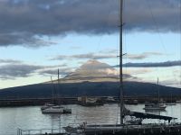 der Pico macht sich frei