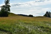 Eisenzeitliche Grabhügel in Sundsvall