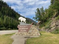 5. Tag – Grenze Alberta & British Columbia und Jasper-Nationalpark & Mount Robson Provincial Park