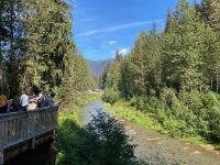 8. Tag – Bärenbeobachtung am Fish Creek – 2. Besuch am Mittag