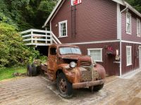 11. Tag – Telegraph Cove