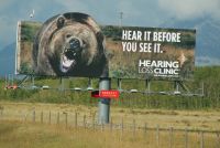 8 erste Bärbegegnung 