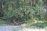 153 Endlich eine Sichtung