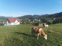 Morgens in der Steiermark bei der Zwischenübernachtung in Semriach