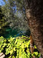 Tolle Farben begeistern heute die Gäste im Park