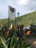 DSCN6832.JPG    Bis bald