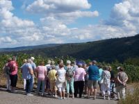 DSCN6839.JPG   Winninger Weinberg