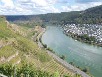 DSCN6843.JPG   Weinberg Winningen