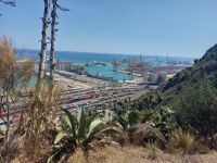 Blick zum Hafen