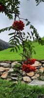 Impressionen