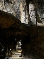 Tag 3 - Die Höhlen von Han-sur-Lesse