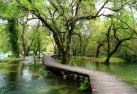 Auf diesen Stegen läuft man durch den Krka Nationalpark