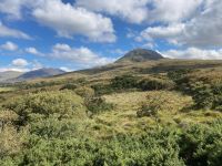 7. Tag – Connemara – Wanderung auf den Diamond Hill im Connemara-Nationalpark