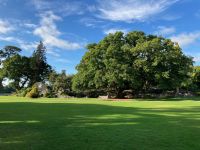 10. Tag – Ring of Kerry – Killarney-Nationalpark – Spaziergang zum Muckross House