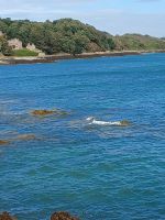 Boule Bay