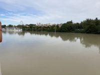 Einfahrt Avignon