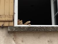 ...entspanntes Leben in Tournus