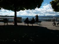 Blick zum Zürichsee